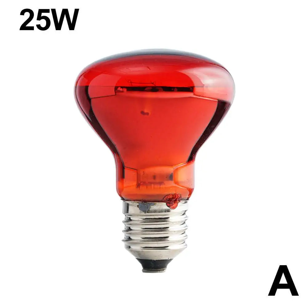 E27 Reptile Heat Bulb, 25–100W Options