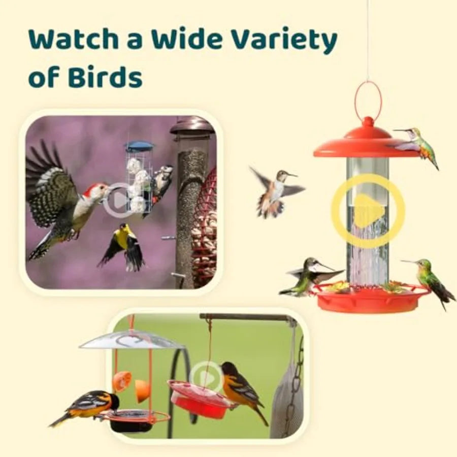 Smart Bird Feeder Camera with Adjustable Brackets for Outdoor Use