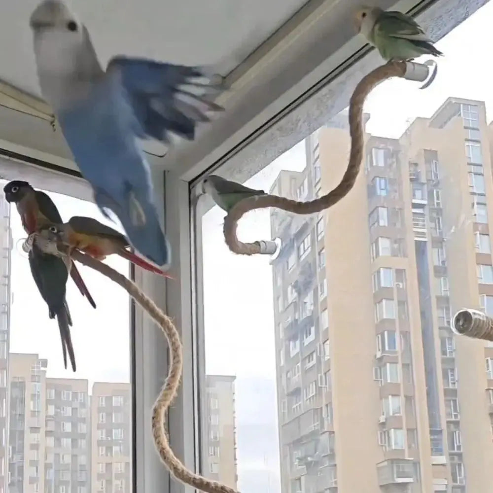 Bendable Rope Bird Perch with Suction Cups