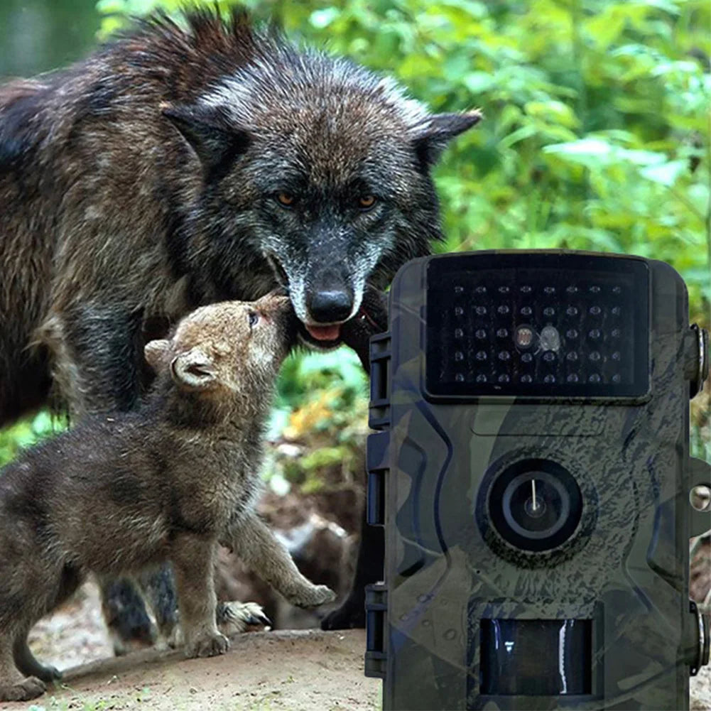 Waterproof Trail Camera with Infrared Night Vision and Motion Detection