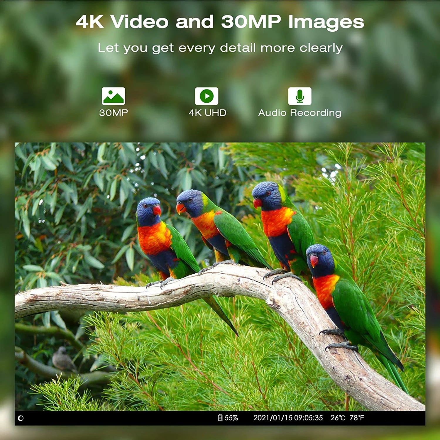 HC900PRO 4G Wireless Trail Camera with Live App and 30MP Night Vision