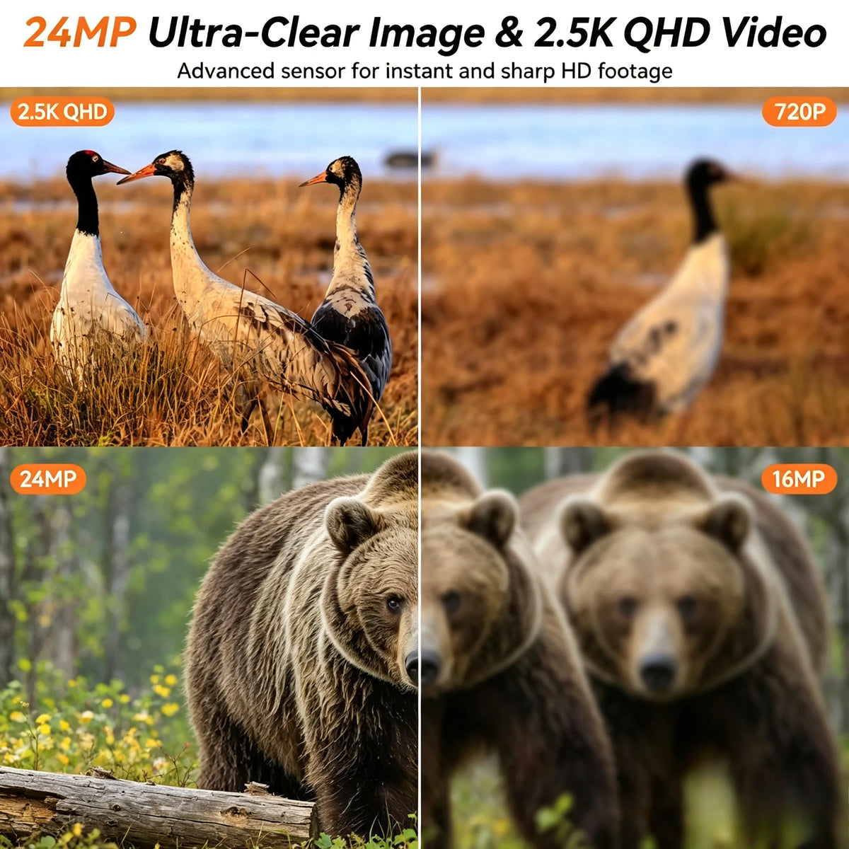 Kamera za praćenje H1 - uz opcionalnu karticu od 16 GB ili 32 GB