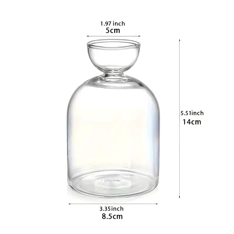 Glass Avocado Seed Starter Vase