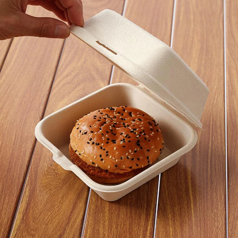 Disposable Fibre Bento Containers, Pack of 10