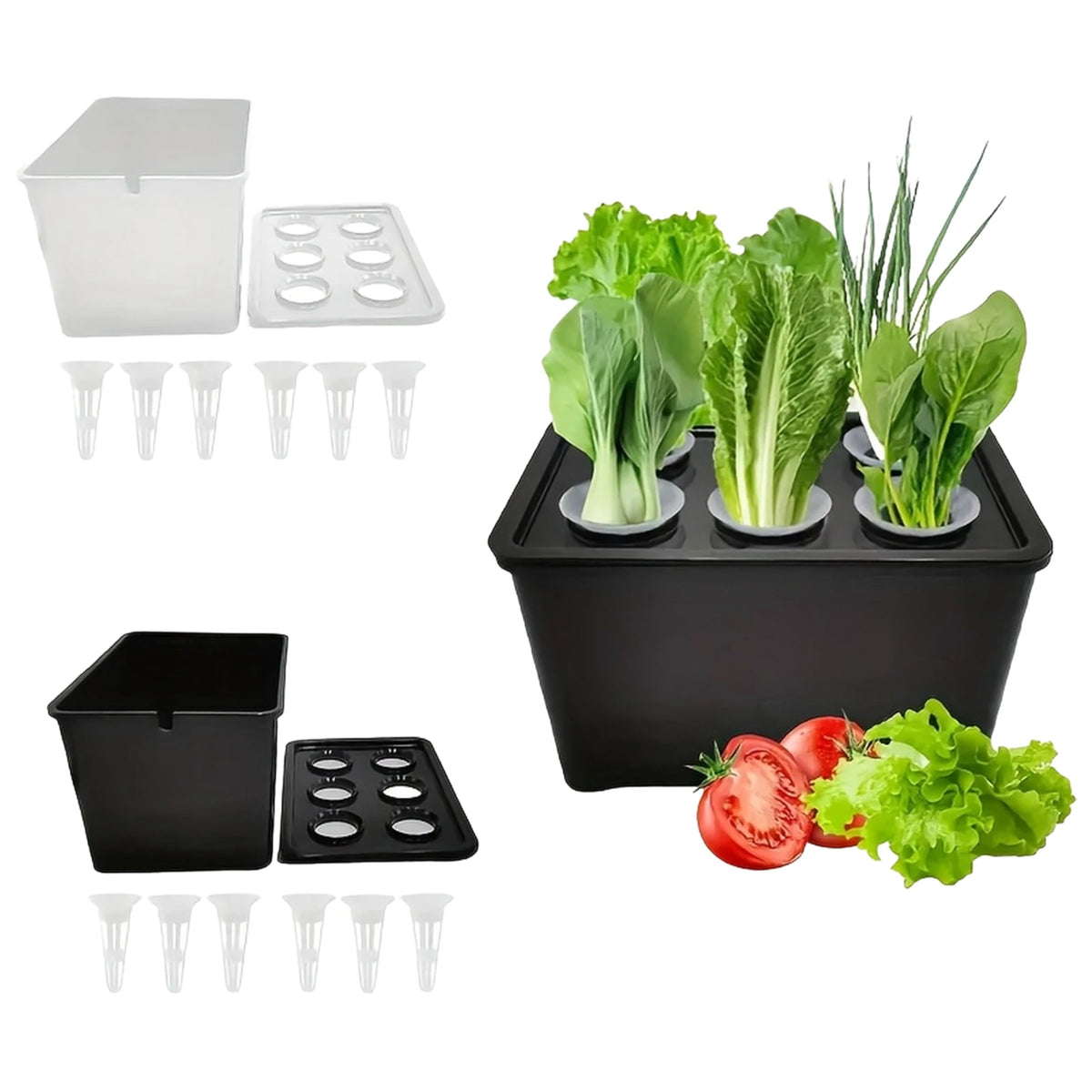 Six-Cup Hydroponic Seedling Box