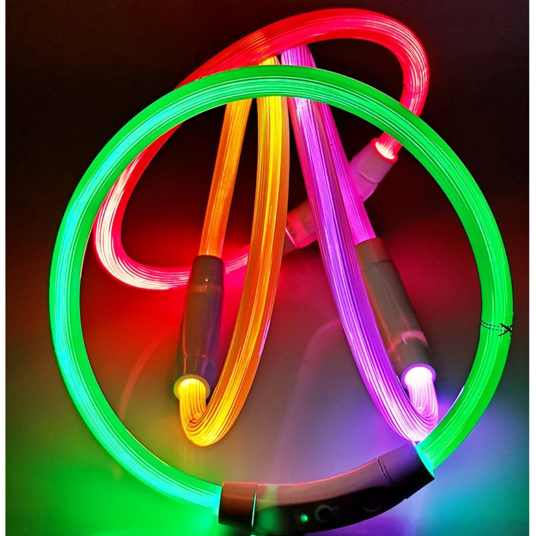 Collar de mascota con LED recargable por USB