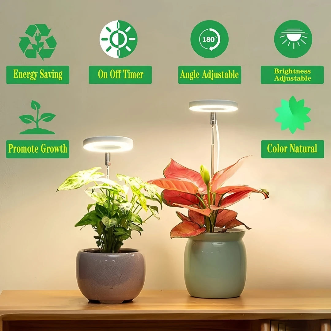 Plant Grow Light Full Spectrum for Indoor Plants