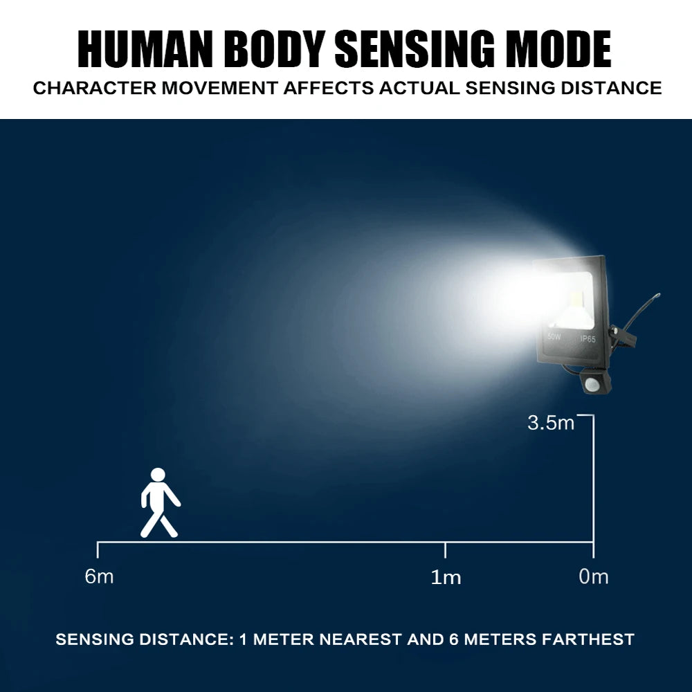 LED Floodlight, 10W–50W, Standard or Motion Sensor Options