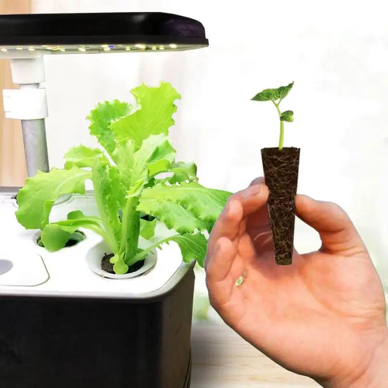 Seed Grow spongi, nadomestne koreninske spongije, rastni sponji za sadike, vtiči za kalitev semena, začetni sponji za semena, hidroponsko vrtnarjenje