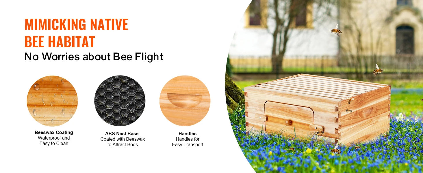Kit di avviamento SucceBuy Bee Hive Deep Box 100% rivestito di cera d'api Naturale in legno di cedro Langstrothabox Beehive Kit in acrilico trasparente