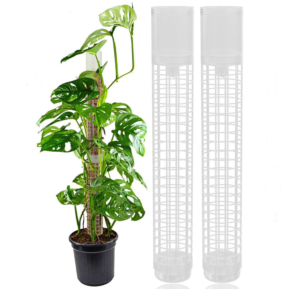 Plastic Moss Pole for Climbing Plants