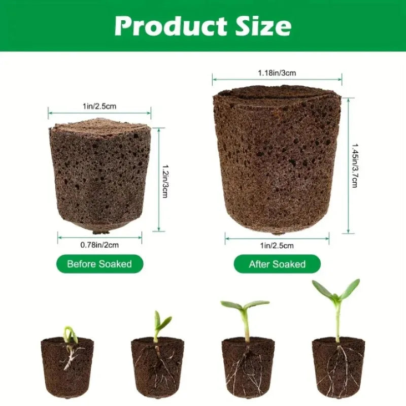 Seed-Starting Grow Sponge Refills, 20 or 40 Pieces