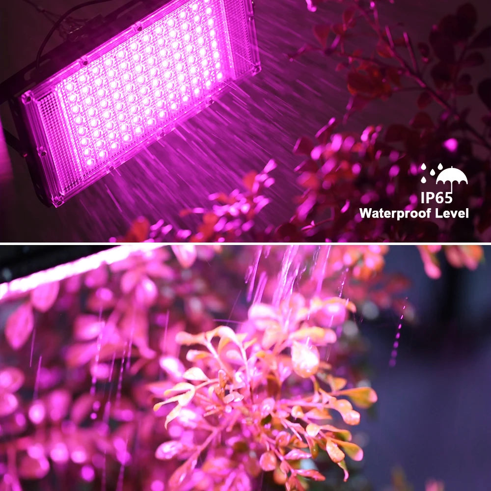 Lampada LED per la coltivazione con staffa regolabile, 3 misure