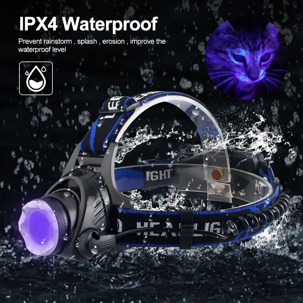 Zoomable Headlamp, Red/Green/395nm UV Options