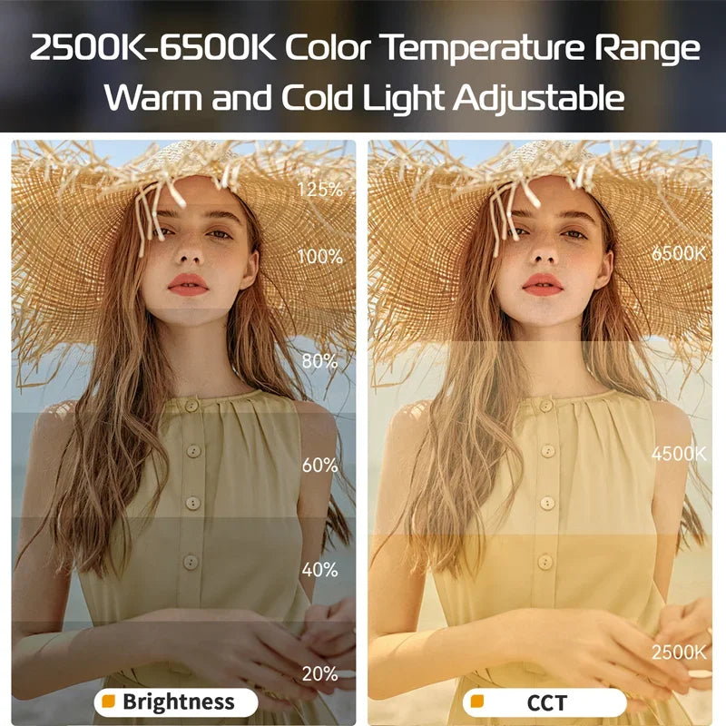 Ulanzi L023 40W Pro Taşınabilir LED Video Işığı