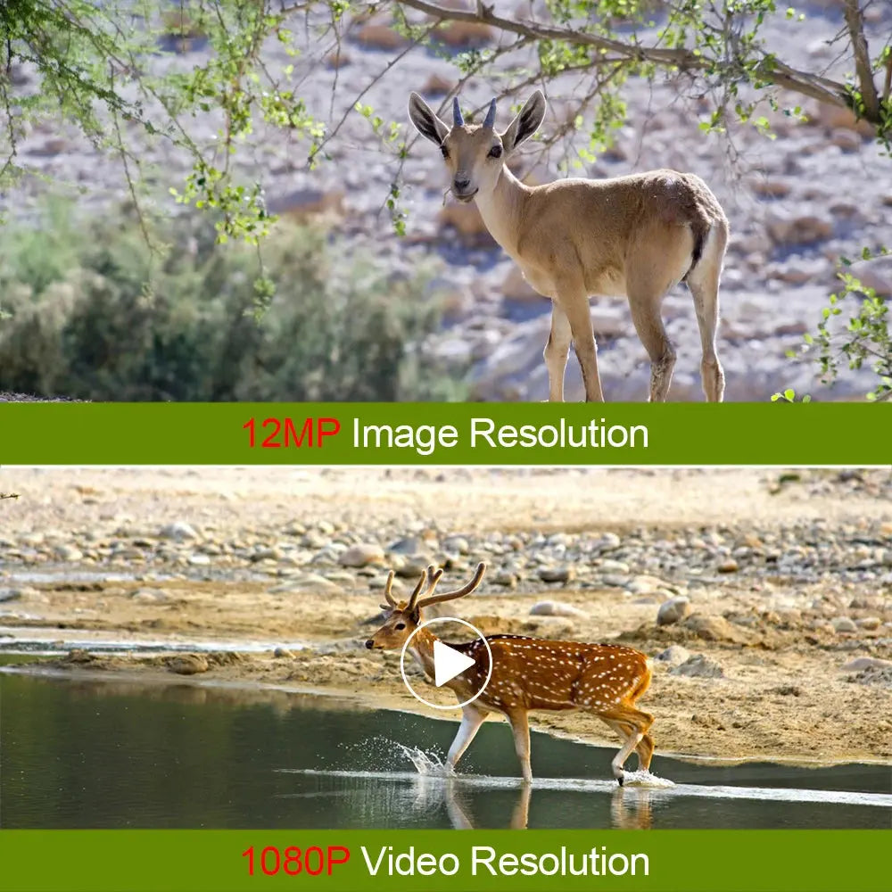 Mini Trail Game Camera Night Vision 1080P 12MP Waterproof Hunting Camera Outdoor Wild photo traps with IR LEDS Range Up To 65ft Spy-shop.com