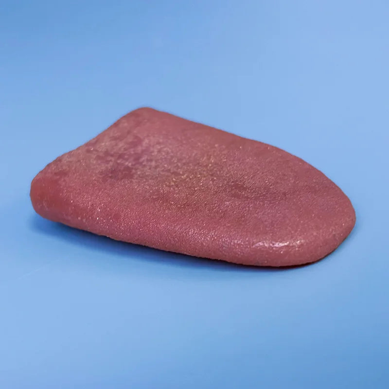 Rubber Fake Tongue Prank Prop