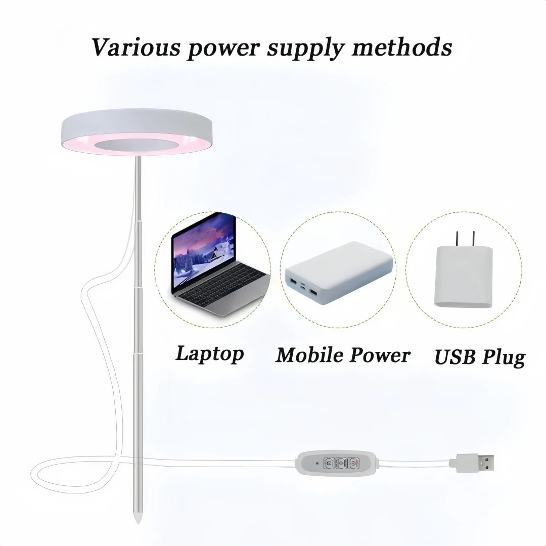 Plant Grow Light Full Spectrum for Indoor Plants