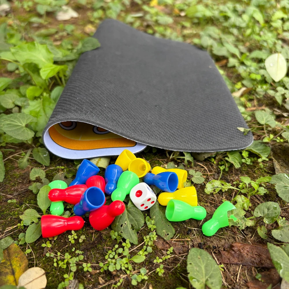 Gioco da tavolo Ludo con pezzi e dadi
