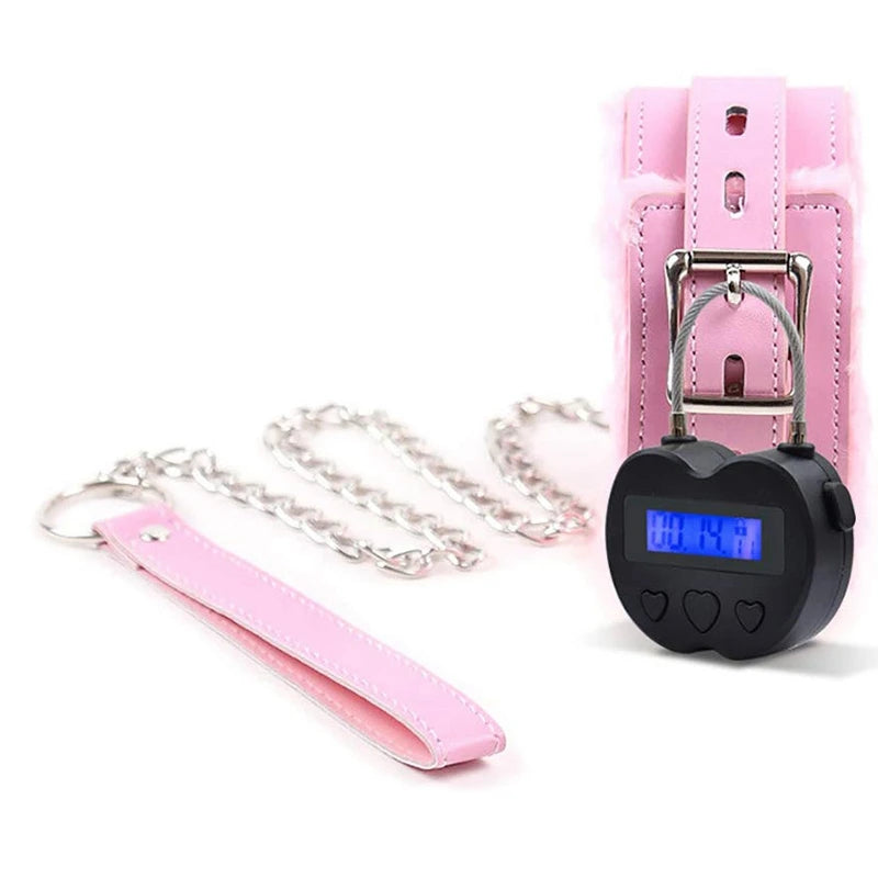 Oplaadbare LCD Timer-kluis