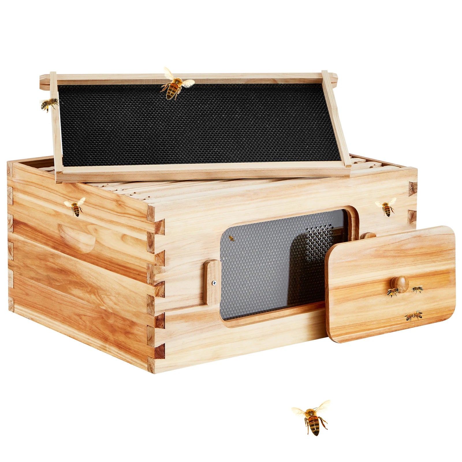 Kit di avviamento SucceBuy Bee Hive Deep Box 100% rivestito di cera d'api Naturale in legno di cedro Langstrothabox Beehive Kit in acrilico trasparente