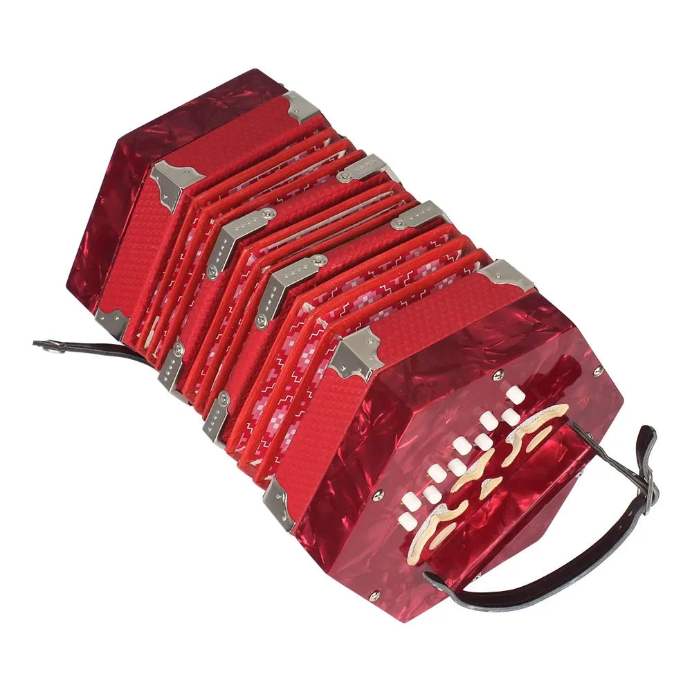 20-klávesová anglická concertina nebo carrying bag