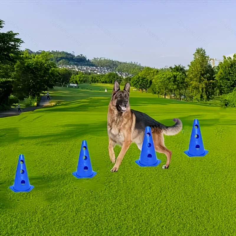 Dog Agility Hurdle Training Set, Pictured Options