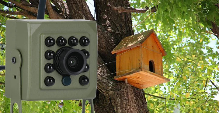 6MP 4MP Tuya Smart Life madármegfigyelő kamera IR CUT vezeték nélküli beltéri Wildr Wifi madárkalitka kamera POE IPC Onvif éjjellátó fészek