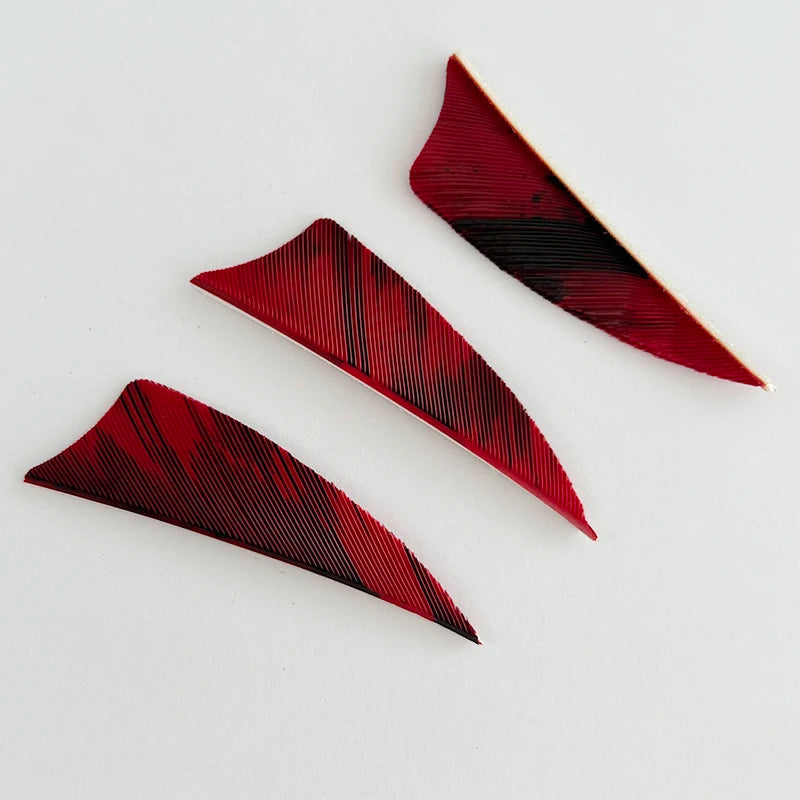 50 Plumillas de pluma de pavo de alas derechas — 2 pulgadas