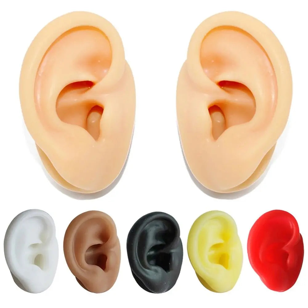 Silicone Ear Model for Teaching and Earring Display