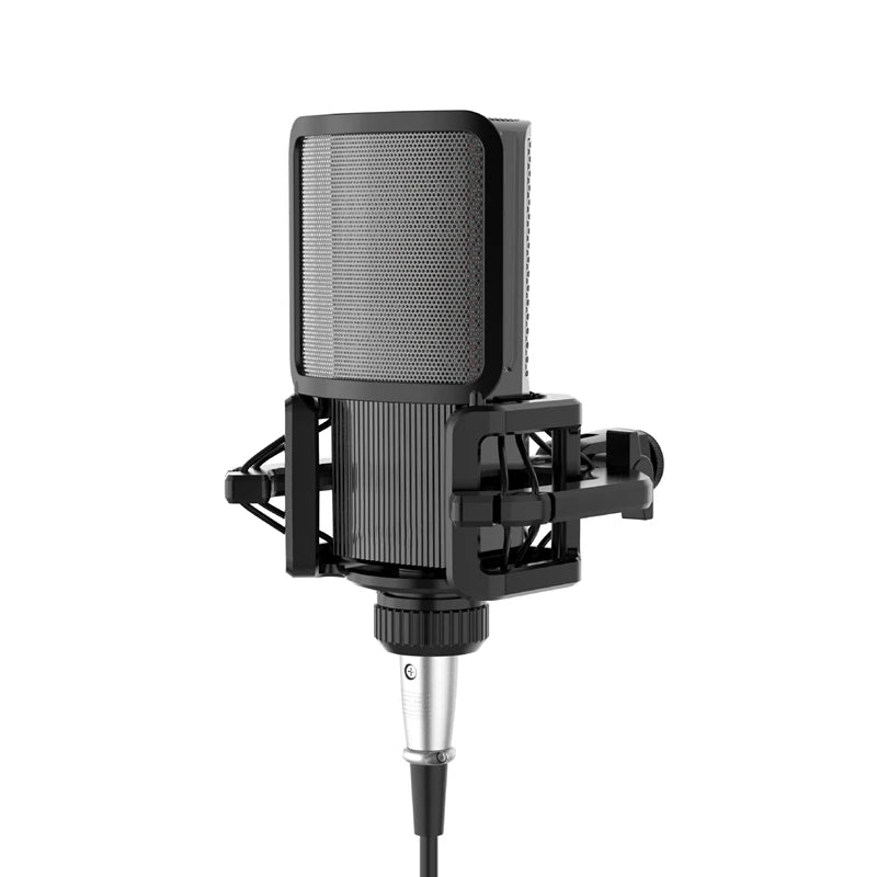 Microphone Shock Mount with Windscreen Filter