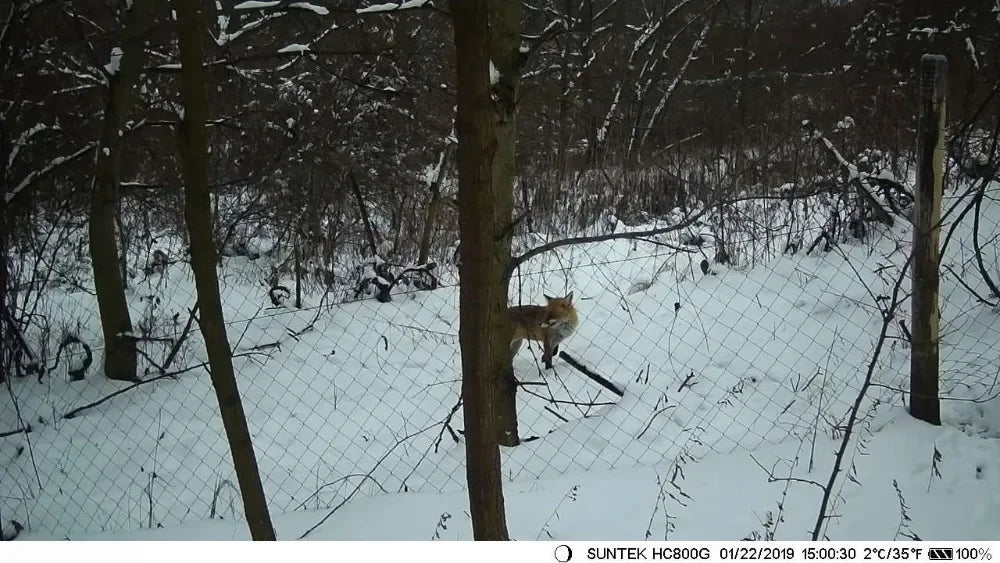 24MP Trail Camera with 1080P Video, Night Vision, IP65