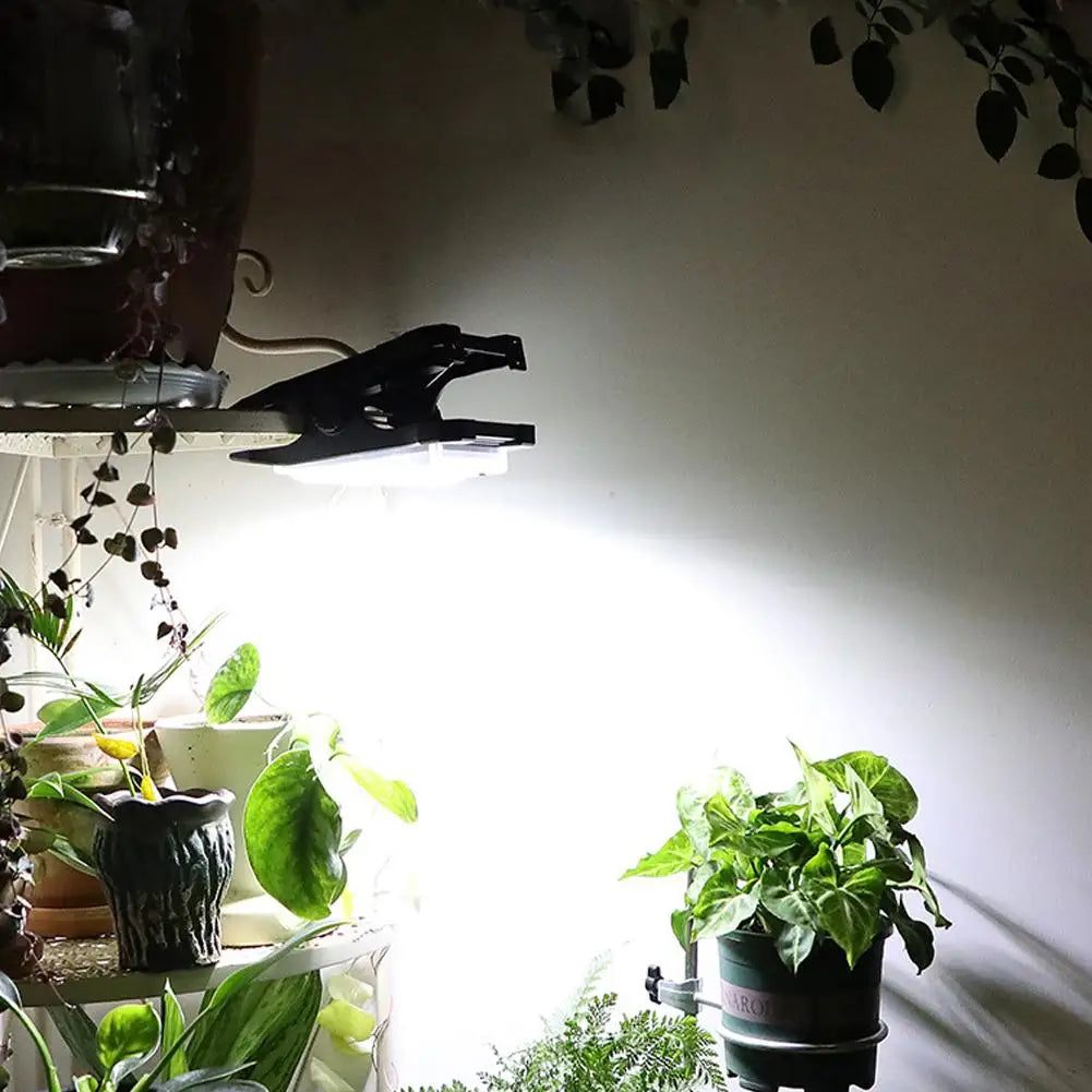 Solar Clip-On Garden Light - Options