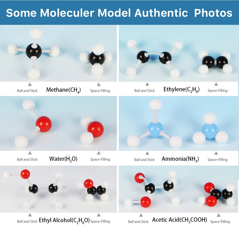 240-Piece Molecular Model Kit with Atoms and Bonds