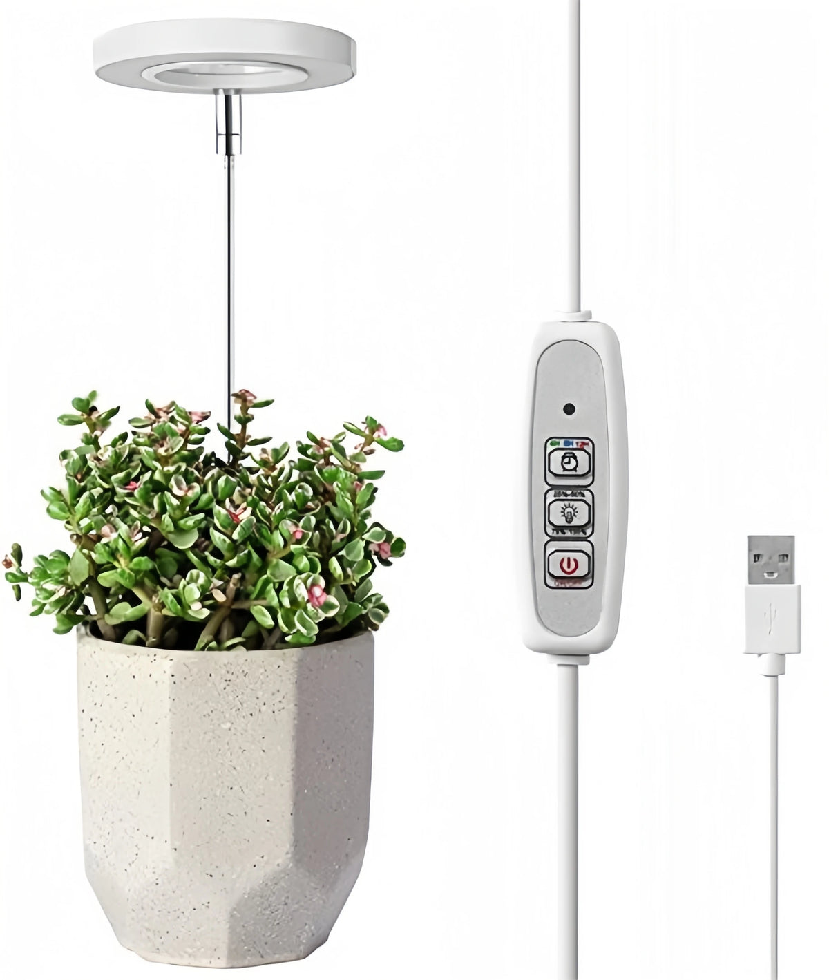 Plant Grow Light Full Spectrum for Indoor Plants