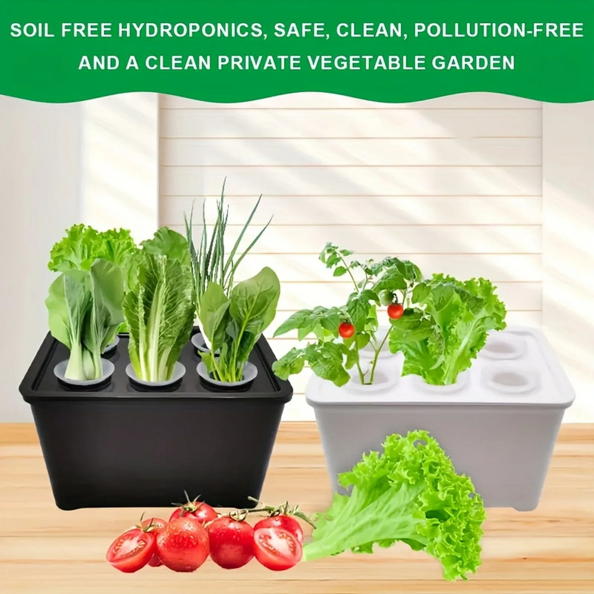 Six-Cup Hydroponic Seedling Box
