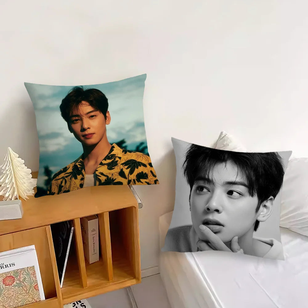 Cha Eun Woo Cushion Cover, Square Printed Pillow Case 30-70 cm