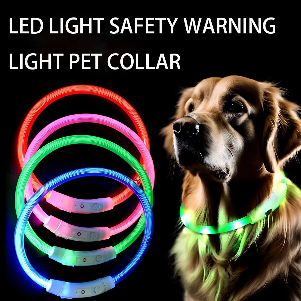 Collar de mascota con LED recargable por USB