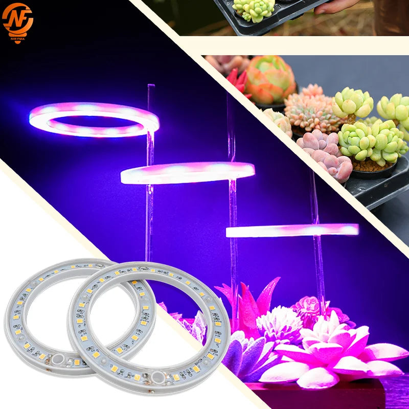 USB Ring Grow Light, Adjustable Height and Head Options