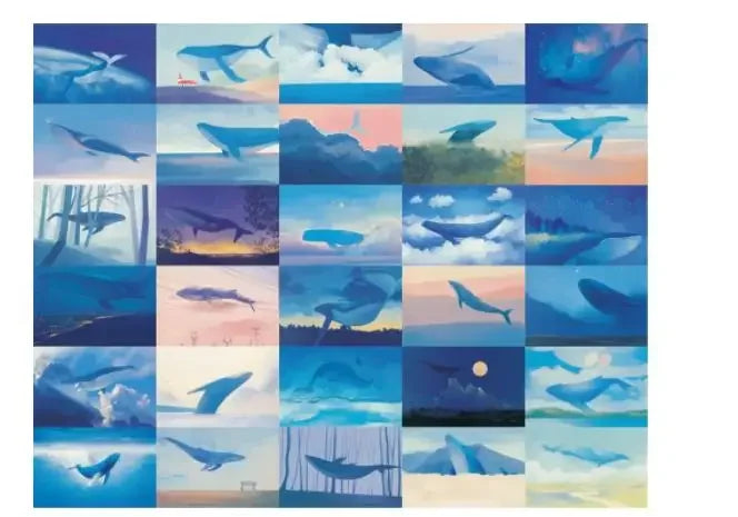Boxed Illustrated Postcards, 30 Cards, 143 × 93 mm