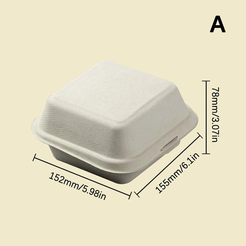 Disposable Fibre Bento Containers, Pack of 10