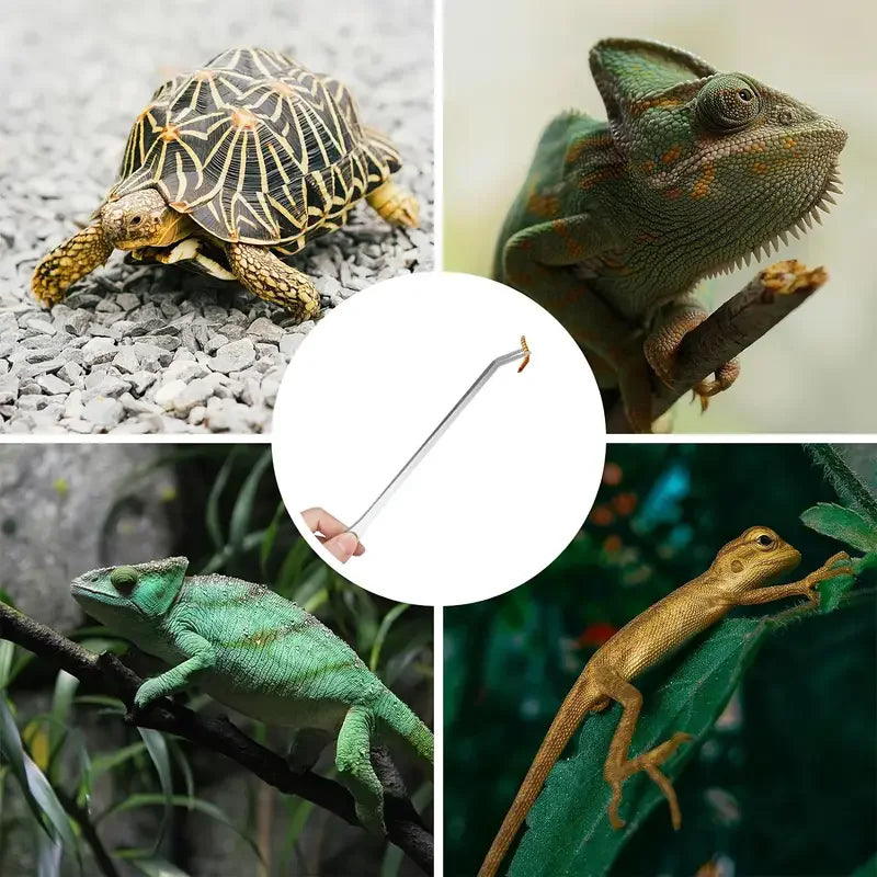 Pinzas largas para acuario y opciones de herramientas de mantenimiento