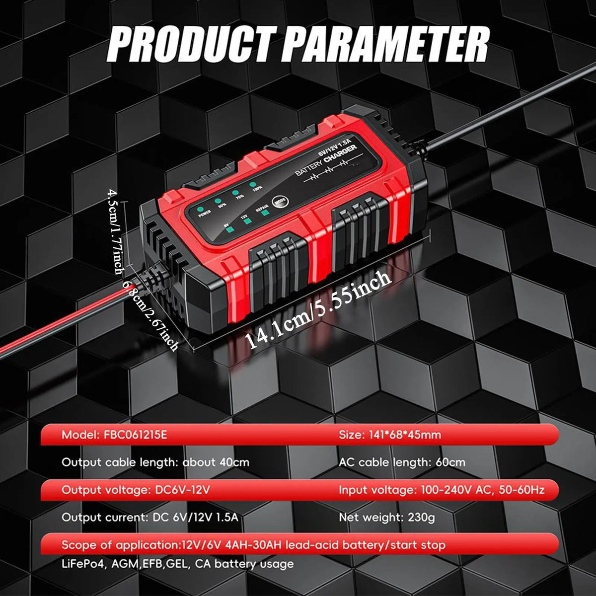 6V/12V Lead-Acid Battery Charger, EU/US Options