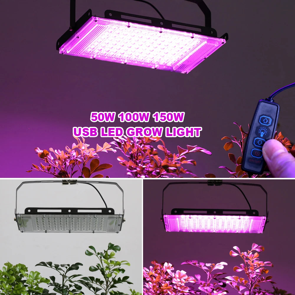 Lampada LED per la coltivazione con staffa regolabile, 3 misure
