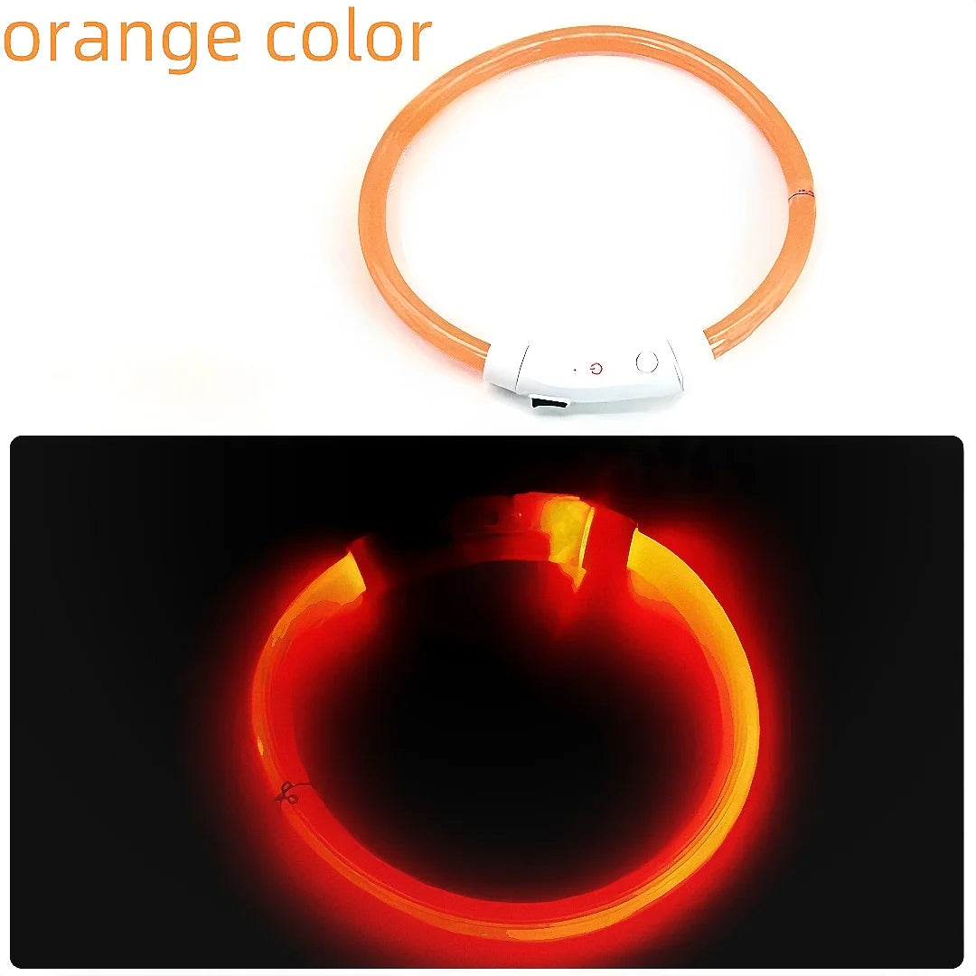 Collar de mascota con LED recargable por USB