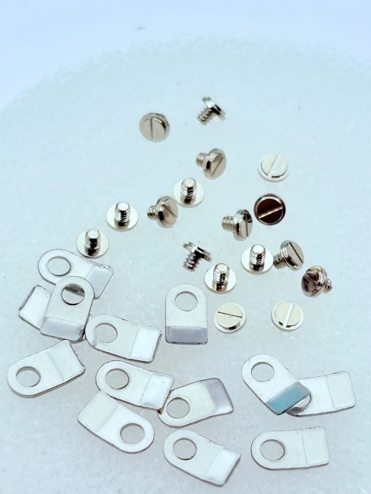 Watch Movement Retaining Plates and Screws for 2824, 2834 and 2836
