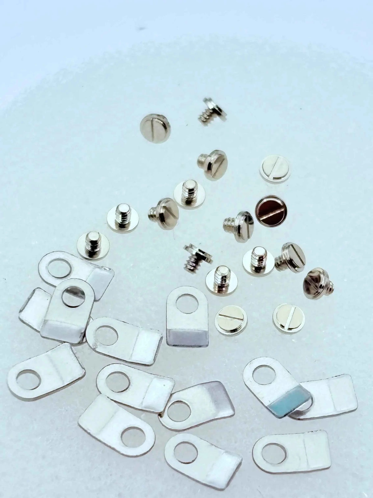 Watch Movement Retaining Plates and Screws for 2824, 2834 and 2836