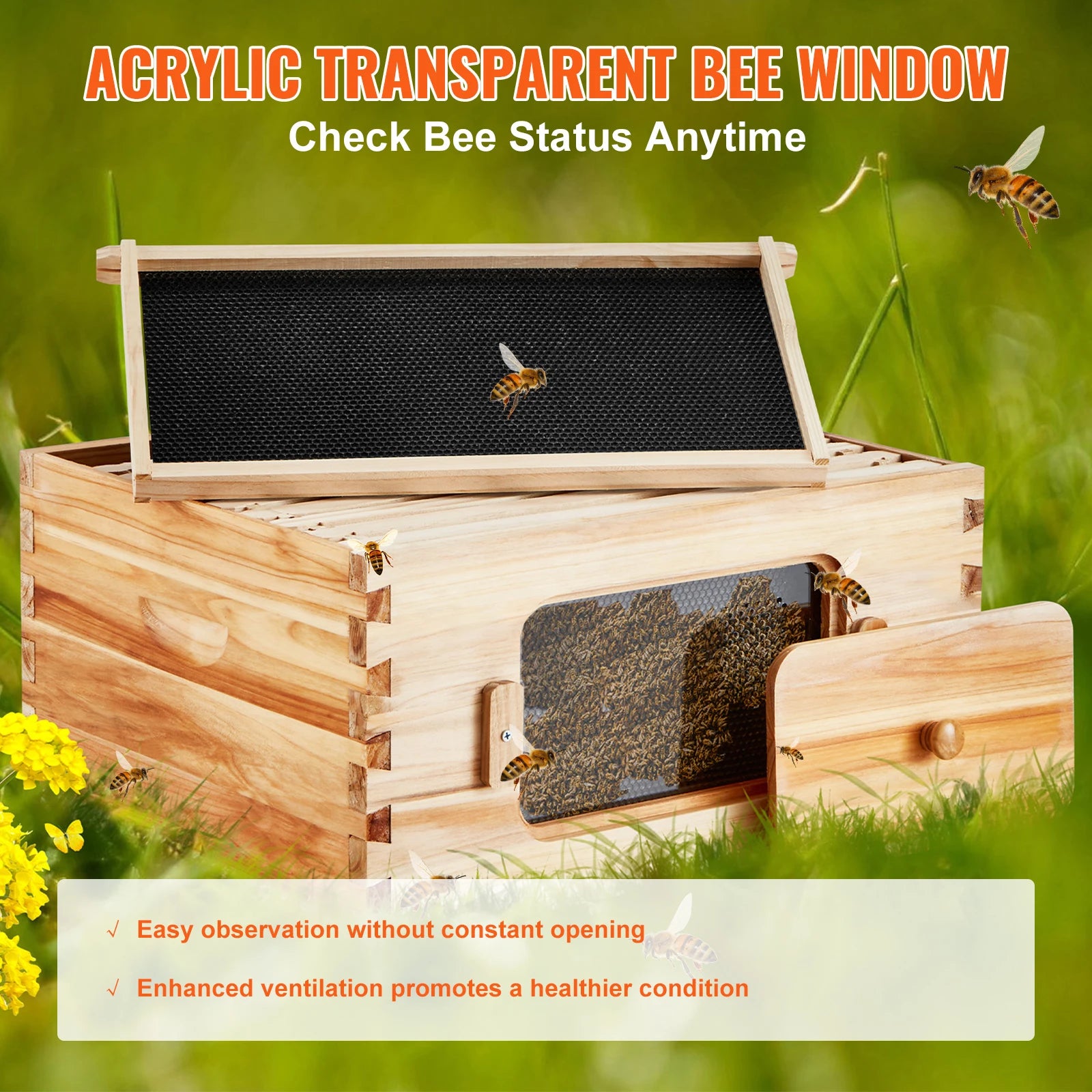 Kit di avviamento SucceBuy Bee Hive Deep Box 100% rivestito di cera d'api Naturale in legno di cedro Langstrothabox Beehive Kit in acrilico trasparente