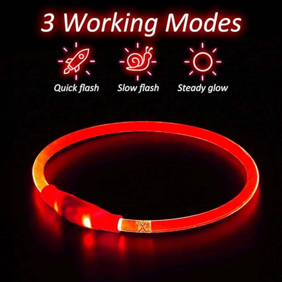 Collar de mascota con LED recargable por USB