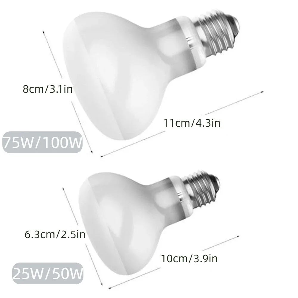 E27 Reptile Basking Bulb, 25–100W Options